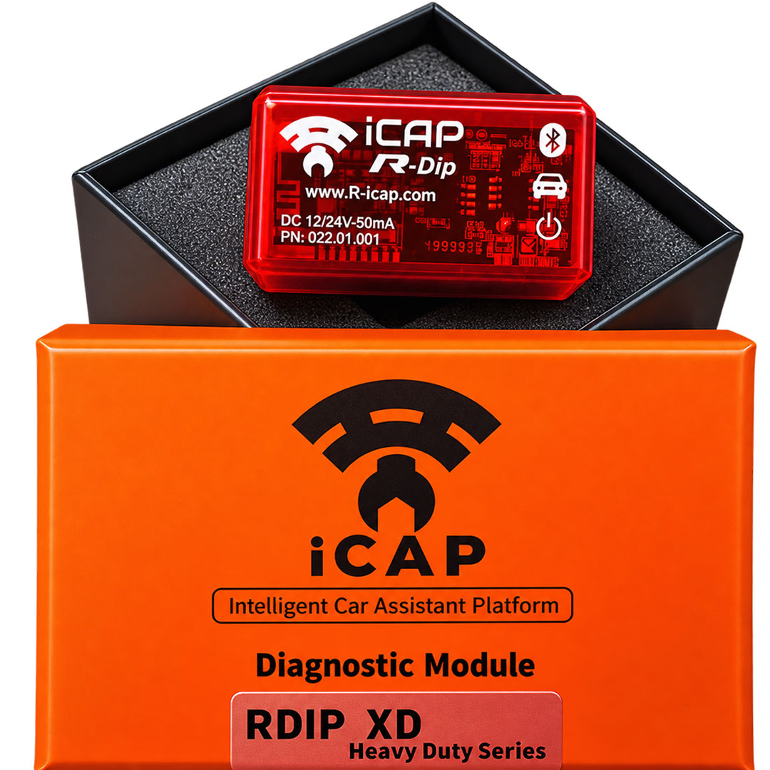 R DIP XD